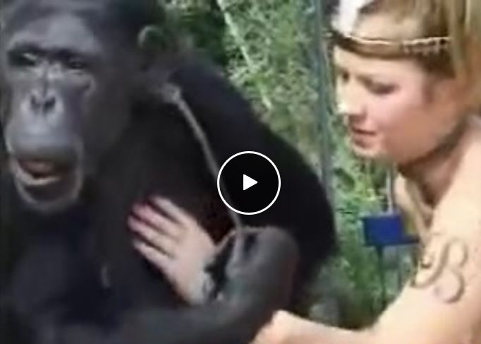 Girl Has Sex With Monkey Video