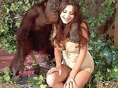 Nude girls with monkey photo - Excellent porn